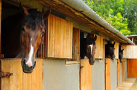 free Martinhoe stable construction quotes